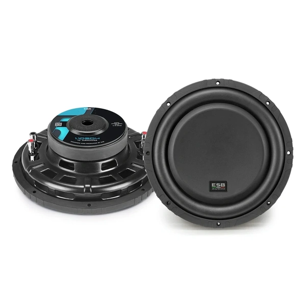 ESB Audio 1-10D2  10'' Shallow Subwoofer D2